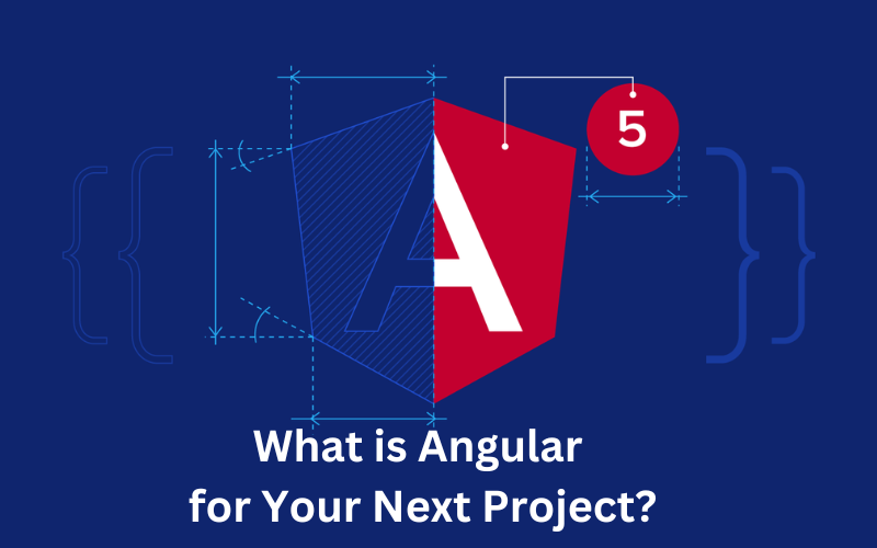 Why should you use Angular with the AWS combination for your next project?